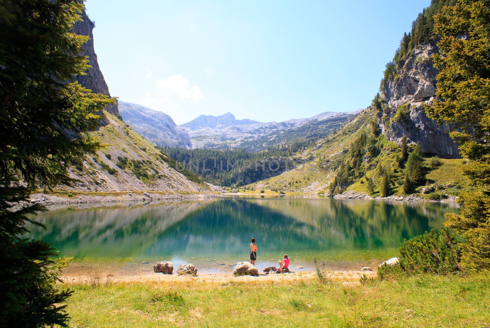 View of krnsko lake in the summer, Slovenia - Europe
