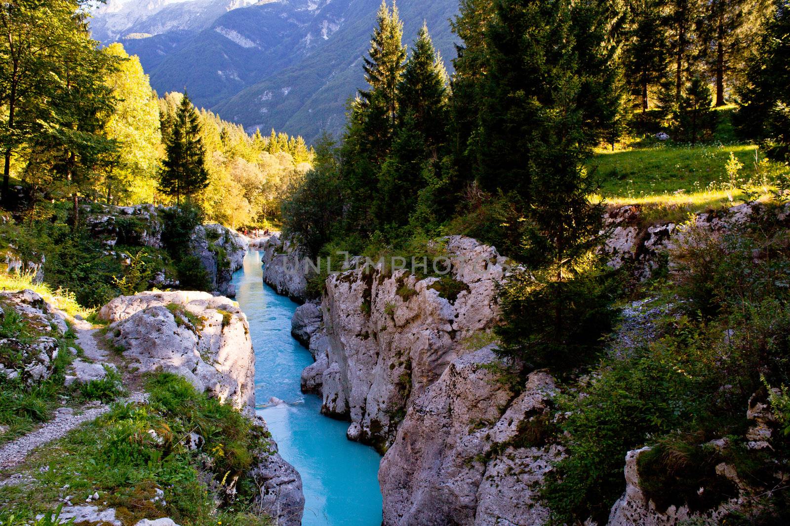 View of Slovenian Soca river in the summer