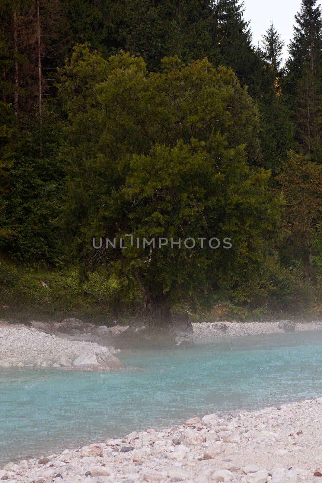 The fog on the Soca river, Slovenian Julian Alps