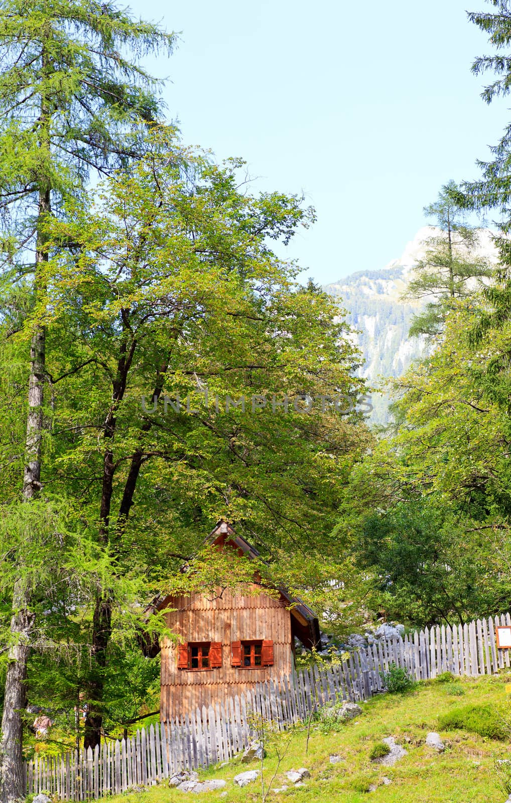 Little wooden house in Slovenian