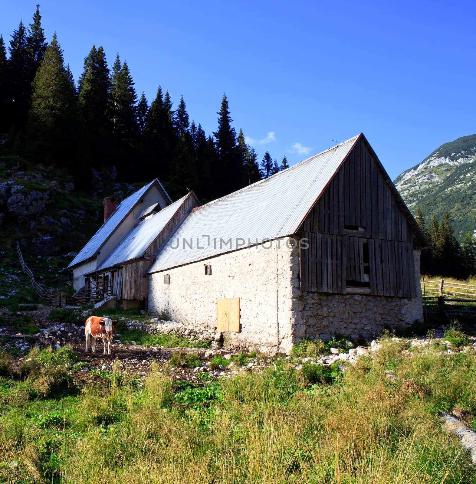 Old wooden house in Slovenian Julian Alps
