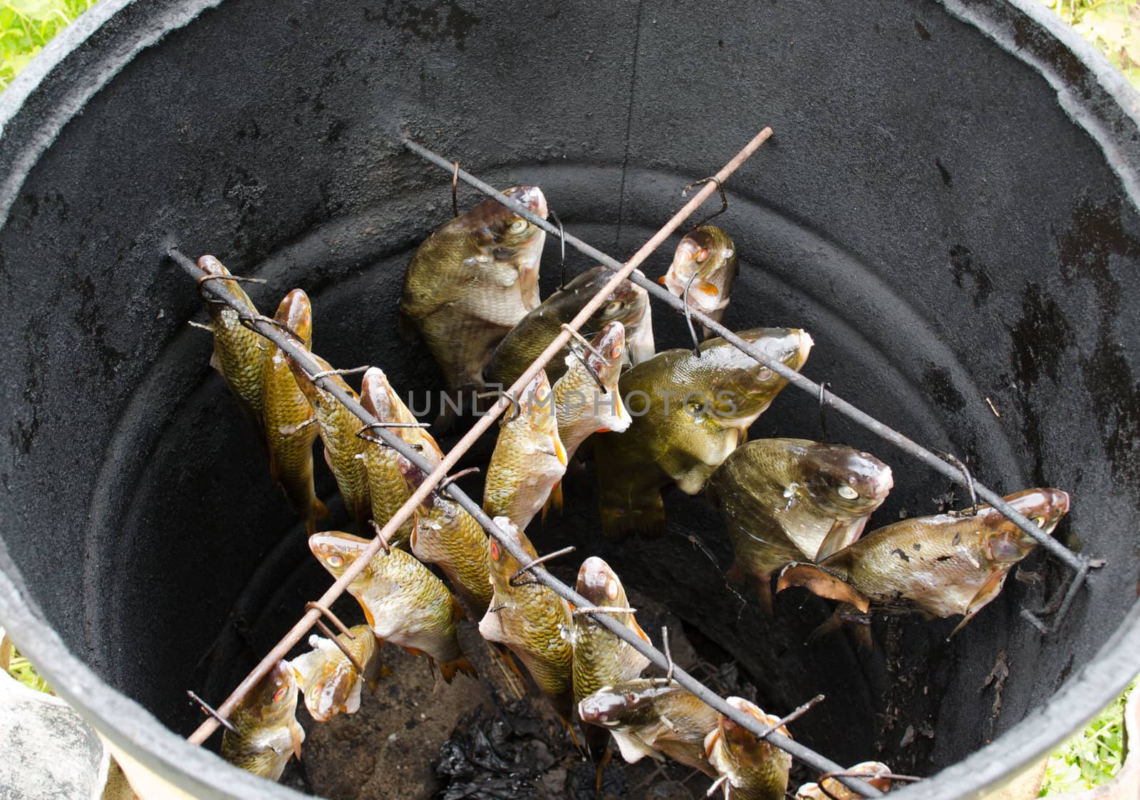 freshly salted bream tench roach fish hanging in handmade smoke house prepared for cooking.