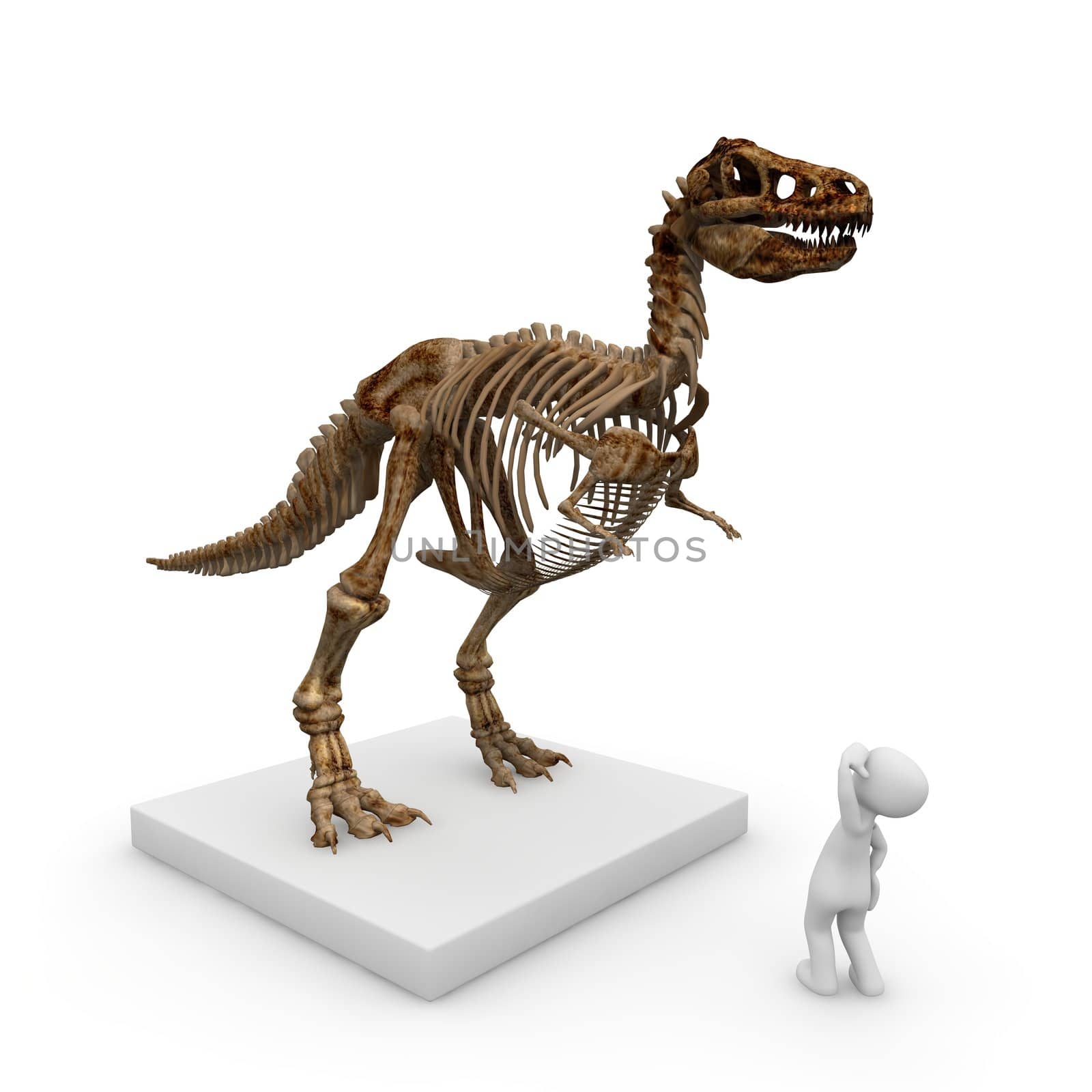 The skeleton of a dinosaur by 3DAgentur