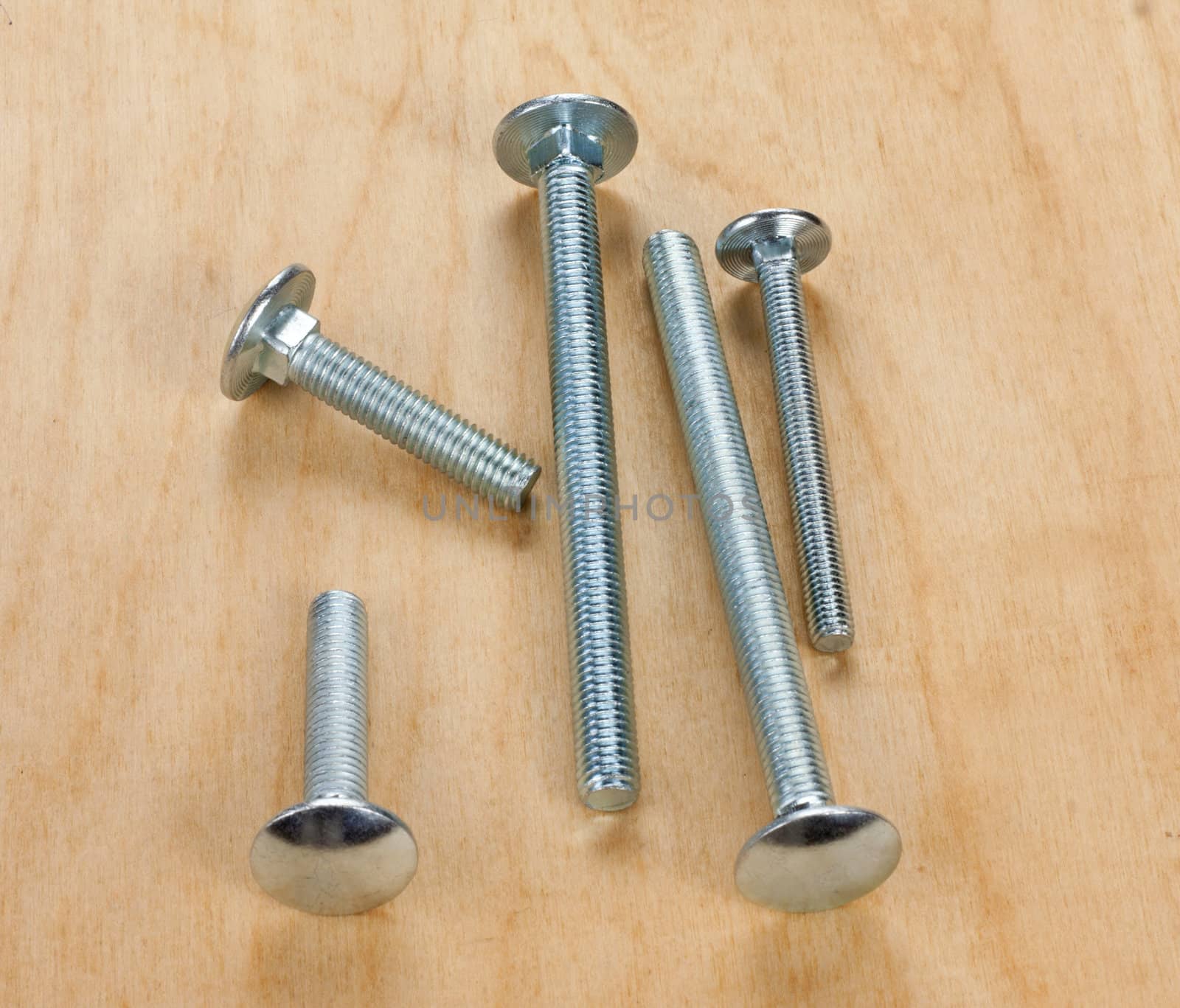 screws on a wooden board by zokov