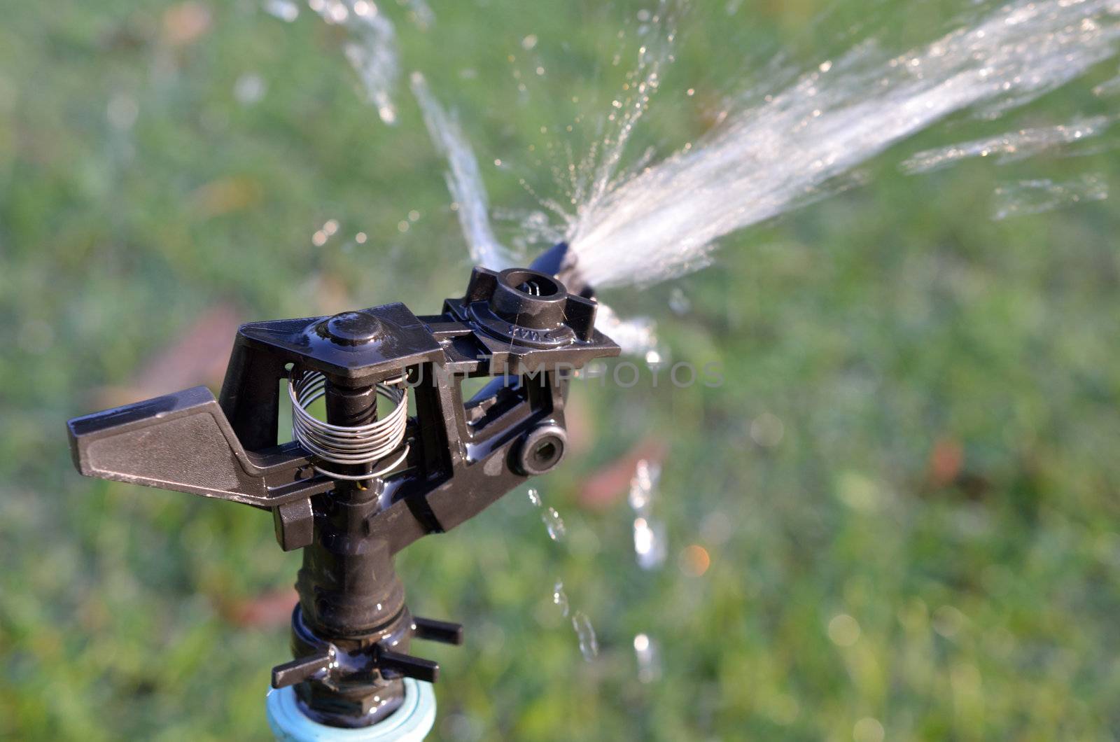 Sprinkler equipment of water in garden