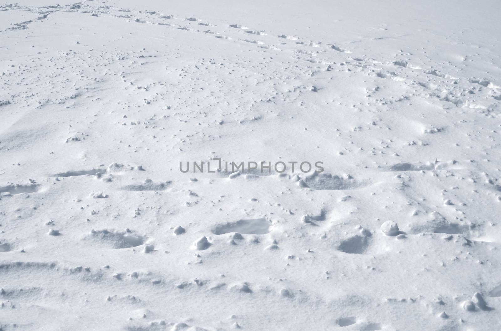 Snow texture