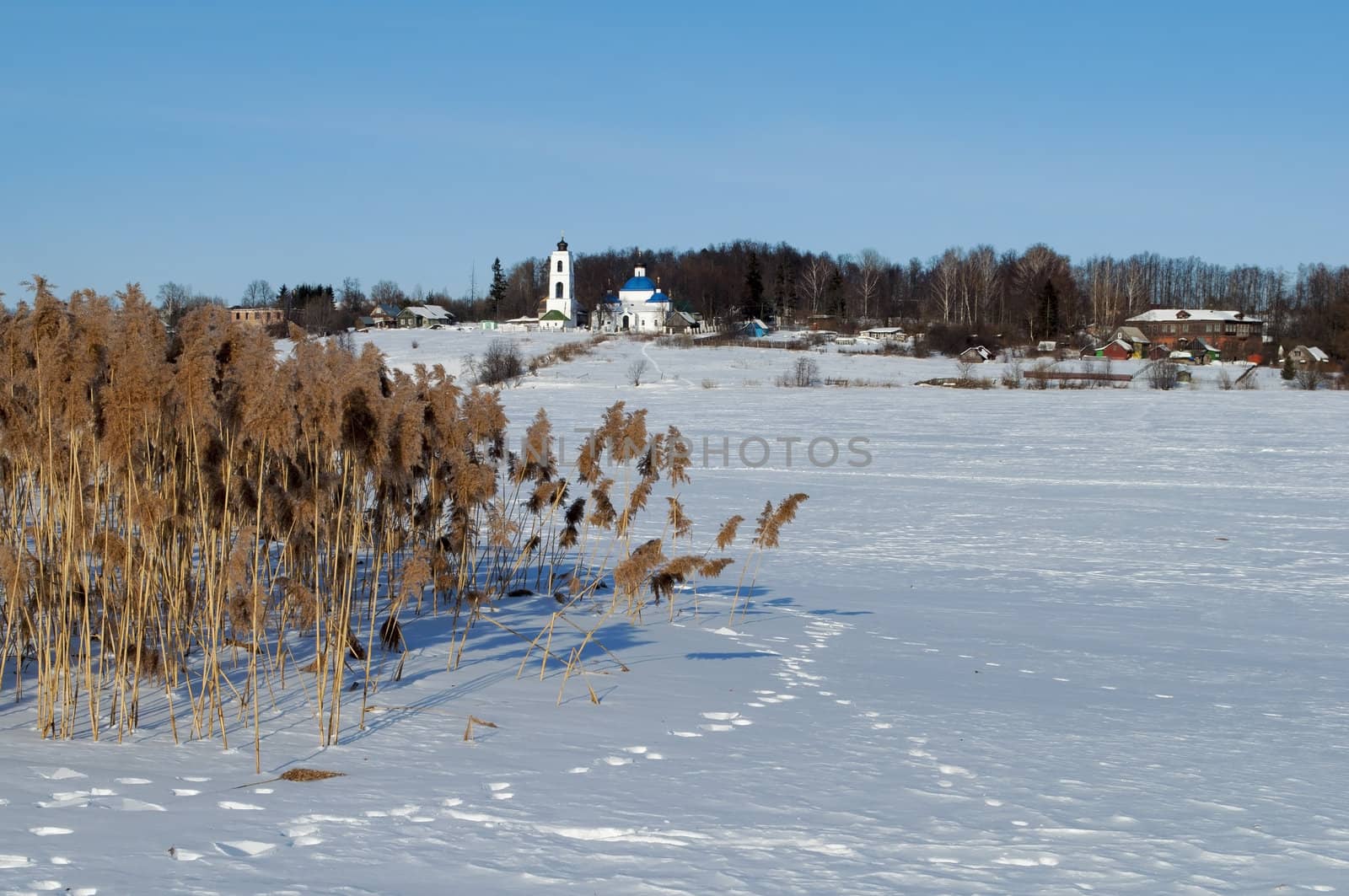  Winter rural landscape with frozen river and dry reeds on the shore, sunny day