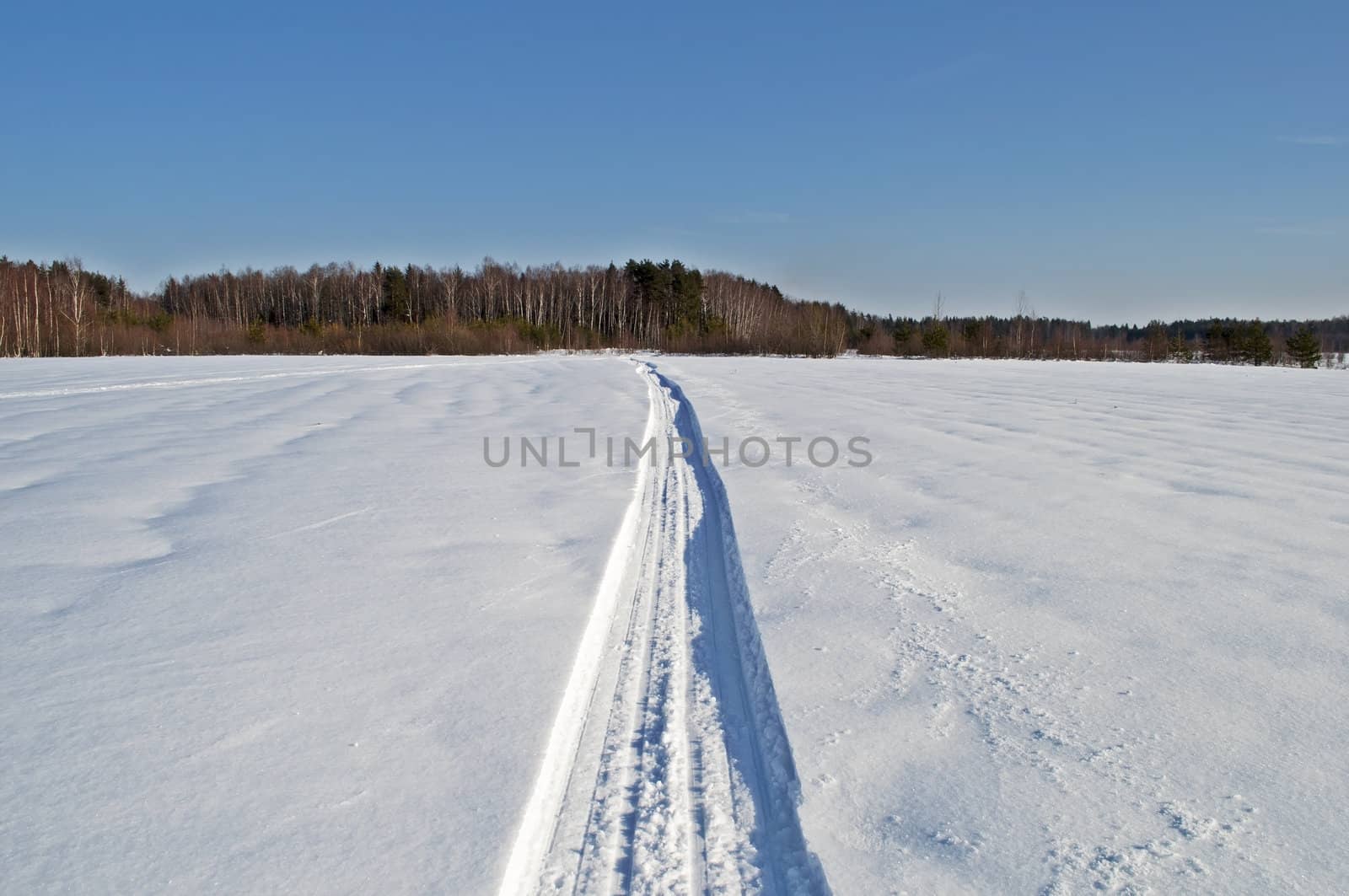 Snowmobile track across the snowy field toward the woods, winter sunny day