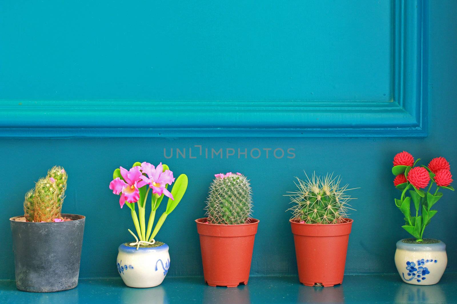 Small cactus with flower decorated on green wall by nuchylee