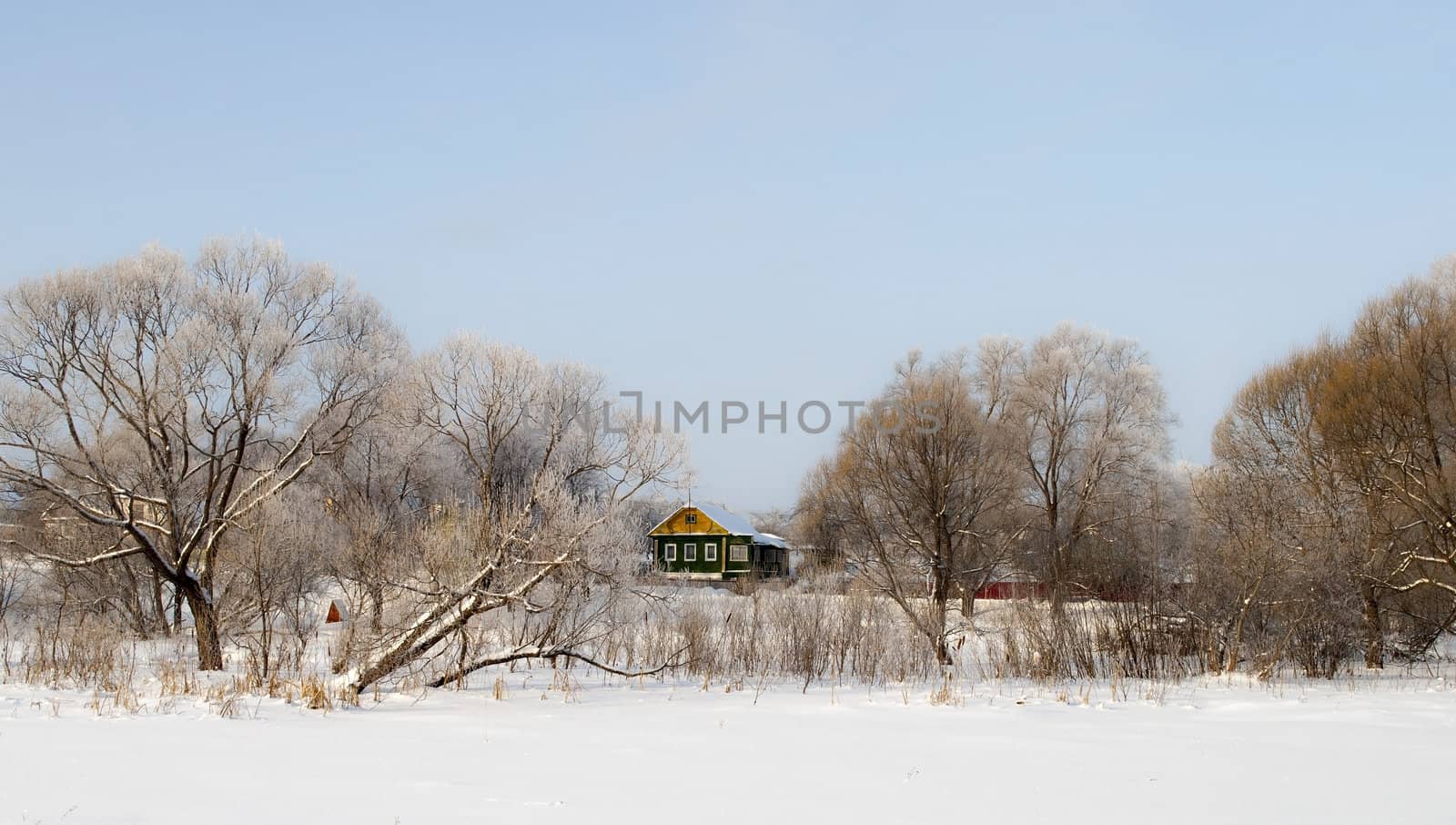 Snow-covered bare trees and a village on the frozen lake shore