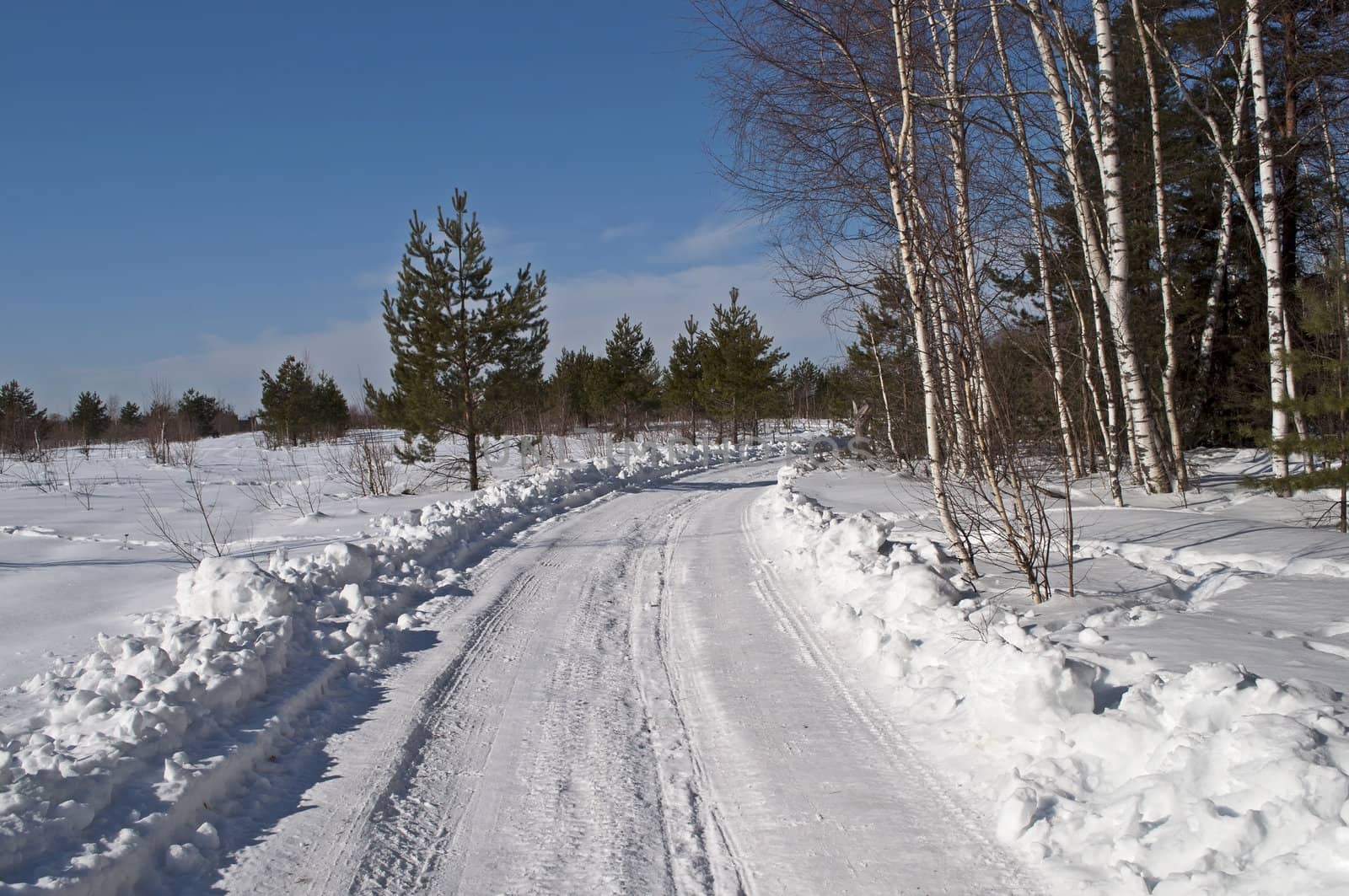 Snowy road near the forest, winter sunny day