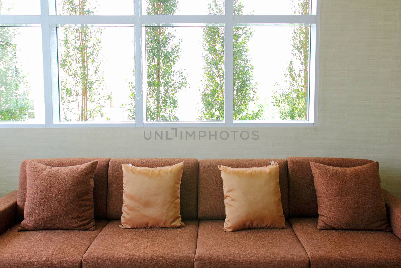 sofa in the living room with green plant outside the windows