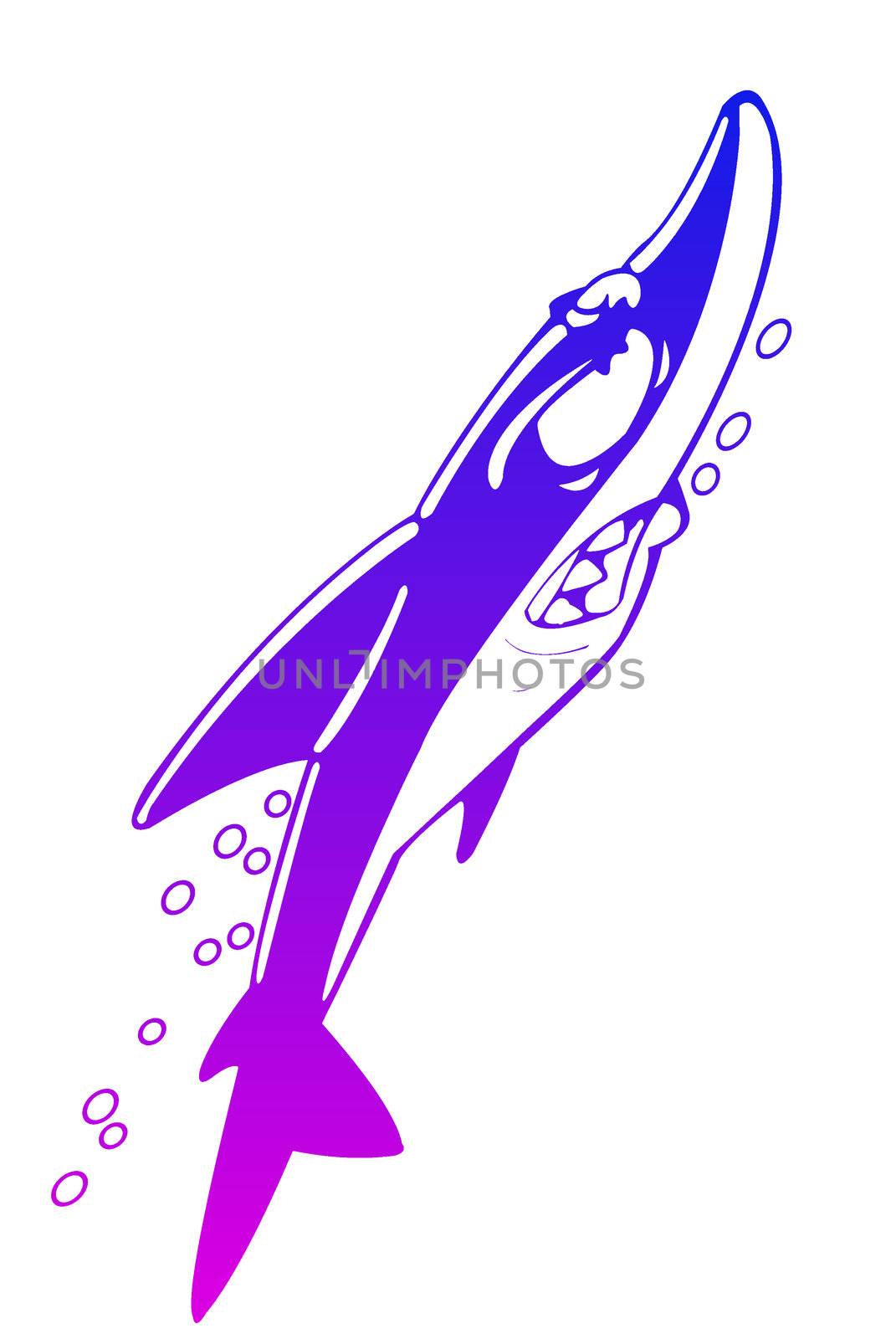 Cartoon shark – illustration with white background