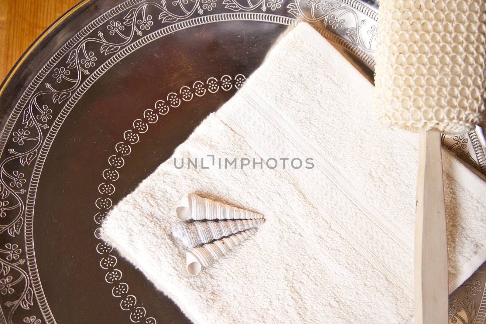 Luxury bath or shower set with towel, brush and shells on silver scale