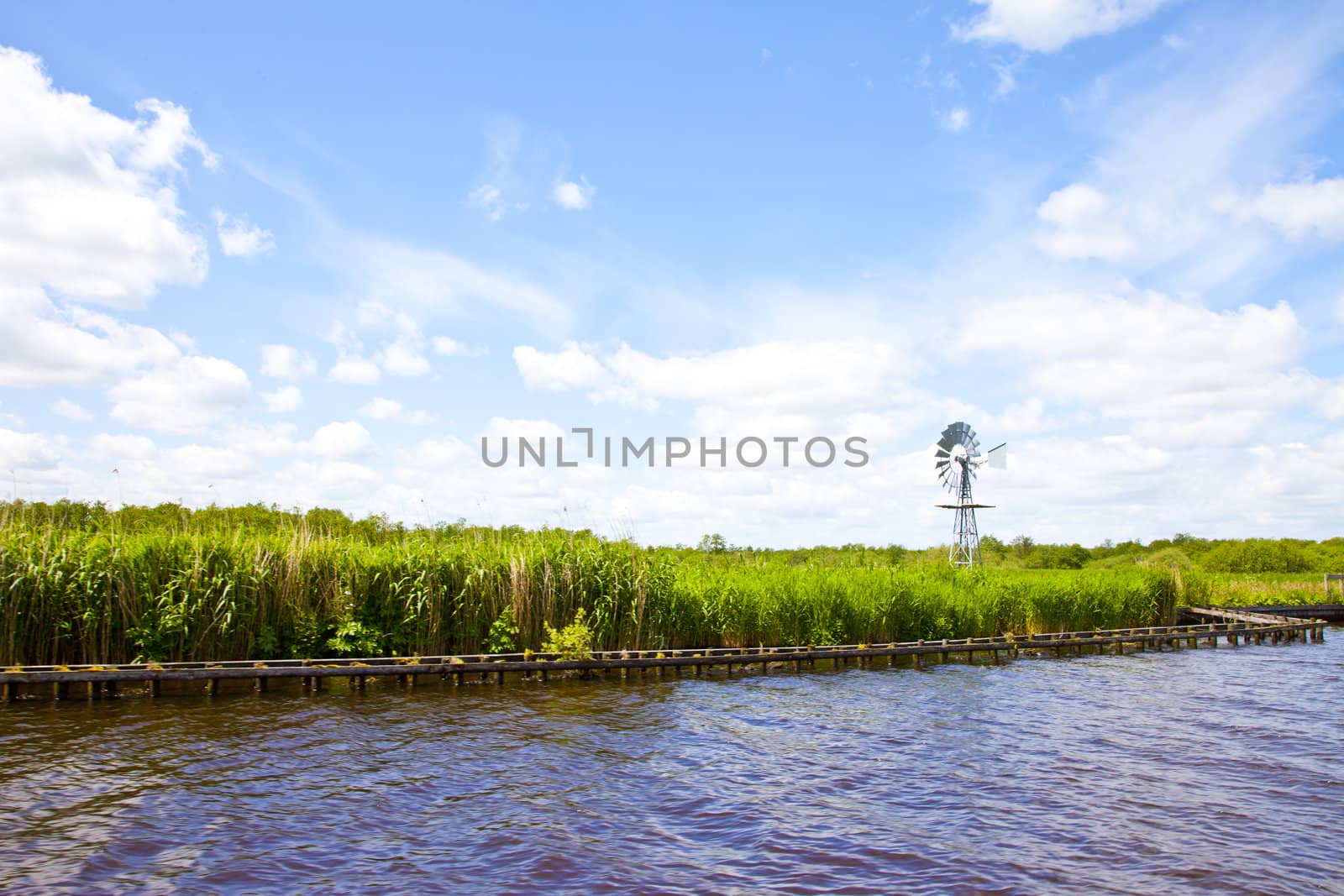 Beautiful Dutch landscape with high grass and little mill with blue sky