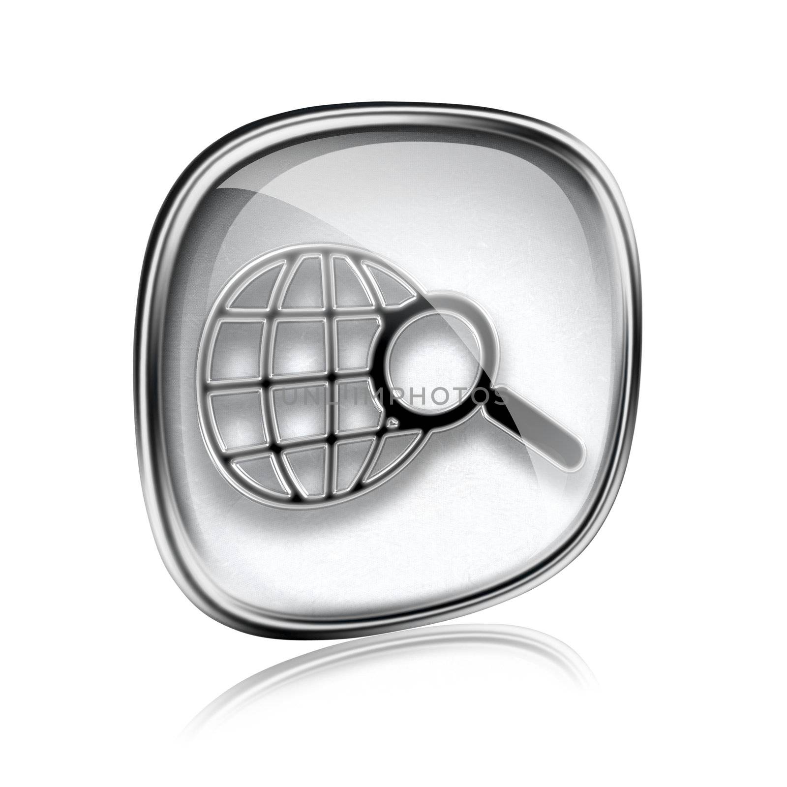 globe and magnifier icon grey glass, isolated on white background.
