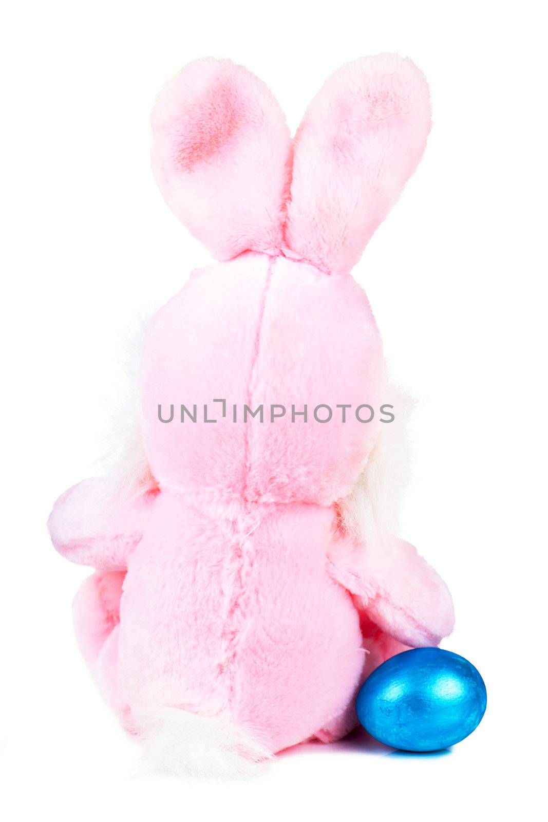 Pink bunny with blue egg isolated over white background