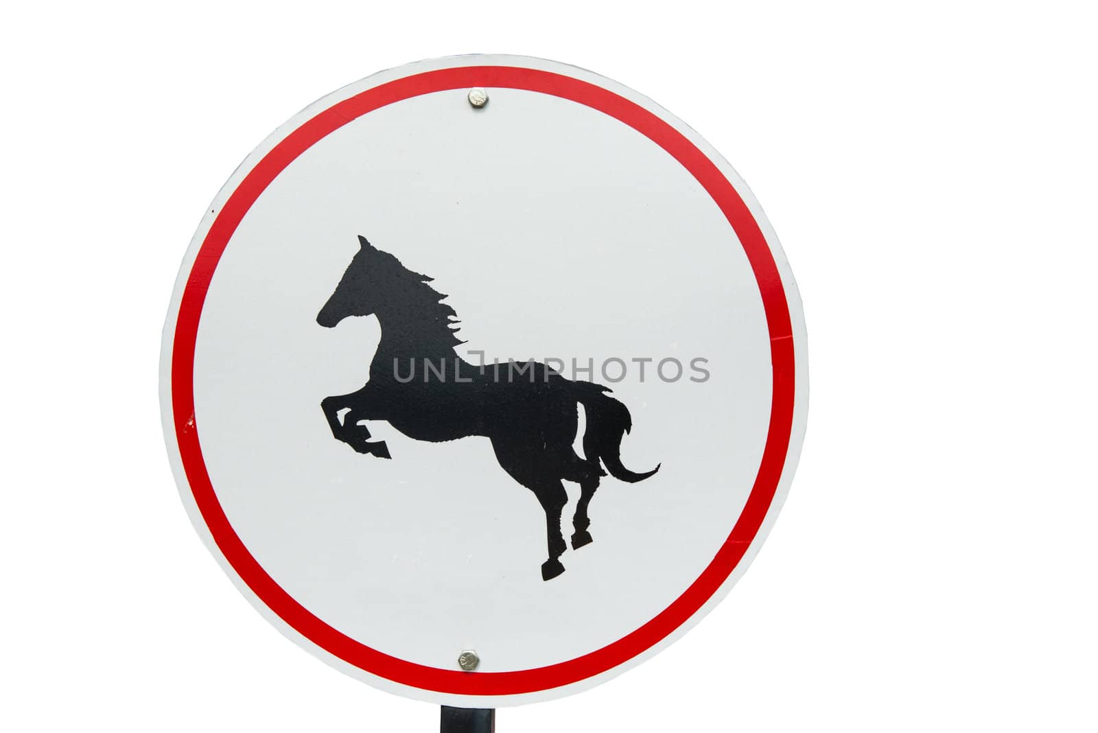 Be careful of horse circular metal sign by sasilsolutions