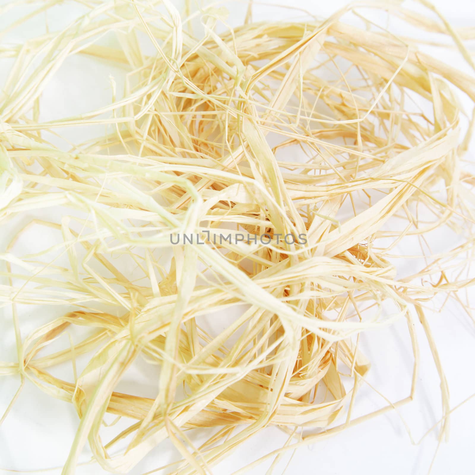 Pile of natural raffia fibres for tying up plants in the garden isolated on white