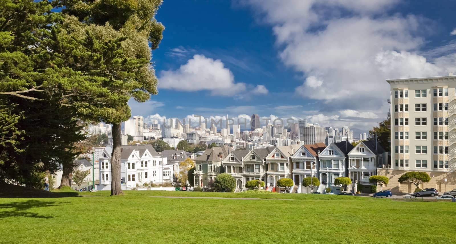 SAN FRANCISCO, USA - NOVEMBER 1, 2012: Painted Ladies in San Francisco on November 1st, 2012. It is the row of Victorian houses at 710–720 Steiner Street, across from Alamo Square park. The houses were built between 1892 and 1896 by developer Matthew Kavanaugh.