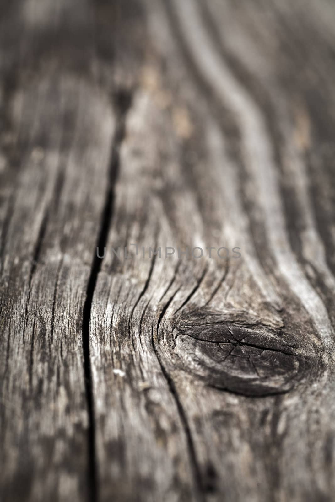 Macro view of wooden knot