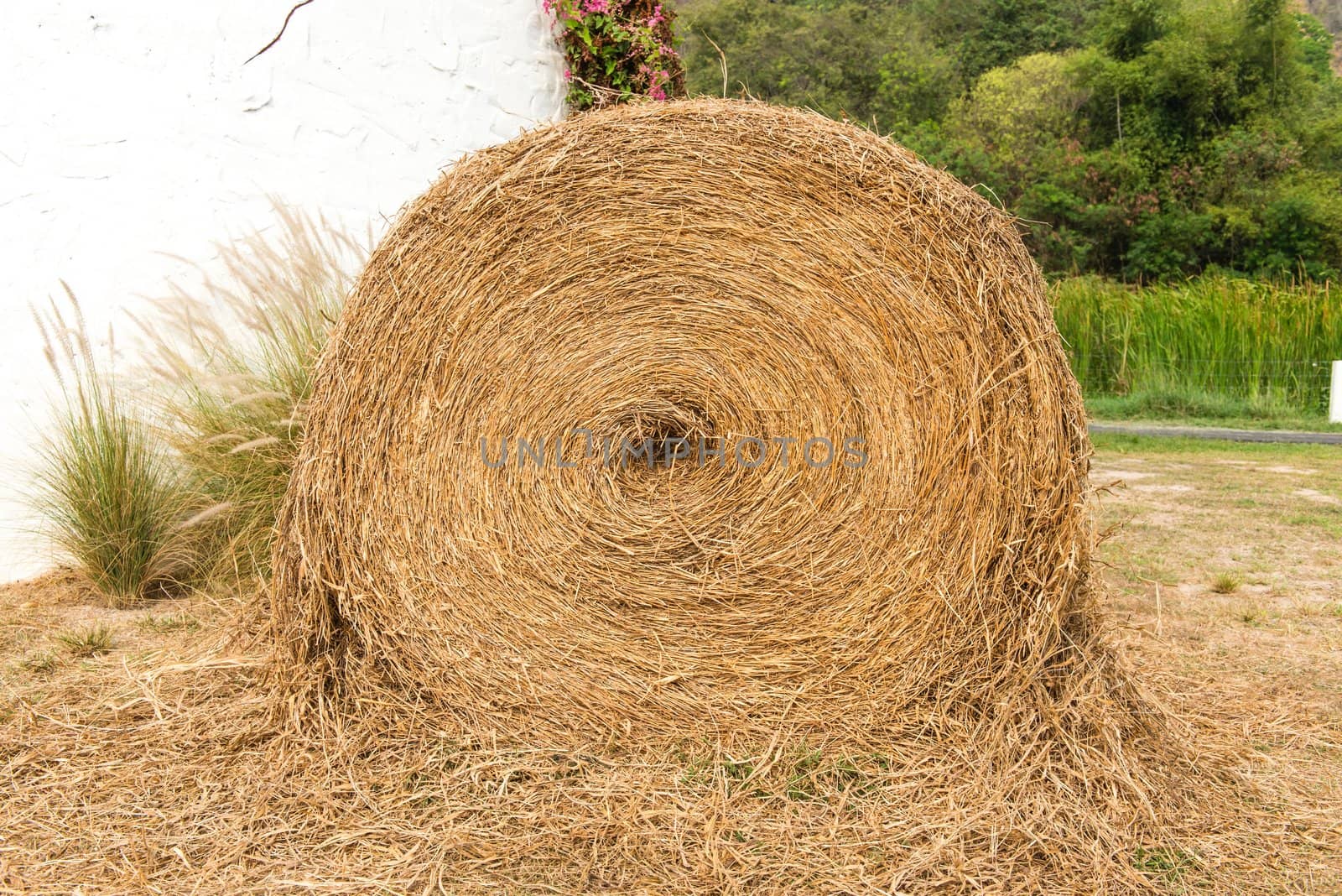 Large rounded hay stack on green grass by sasilsolutions