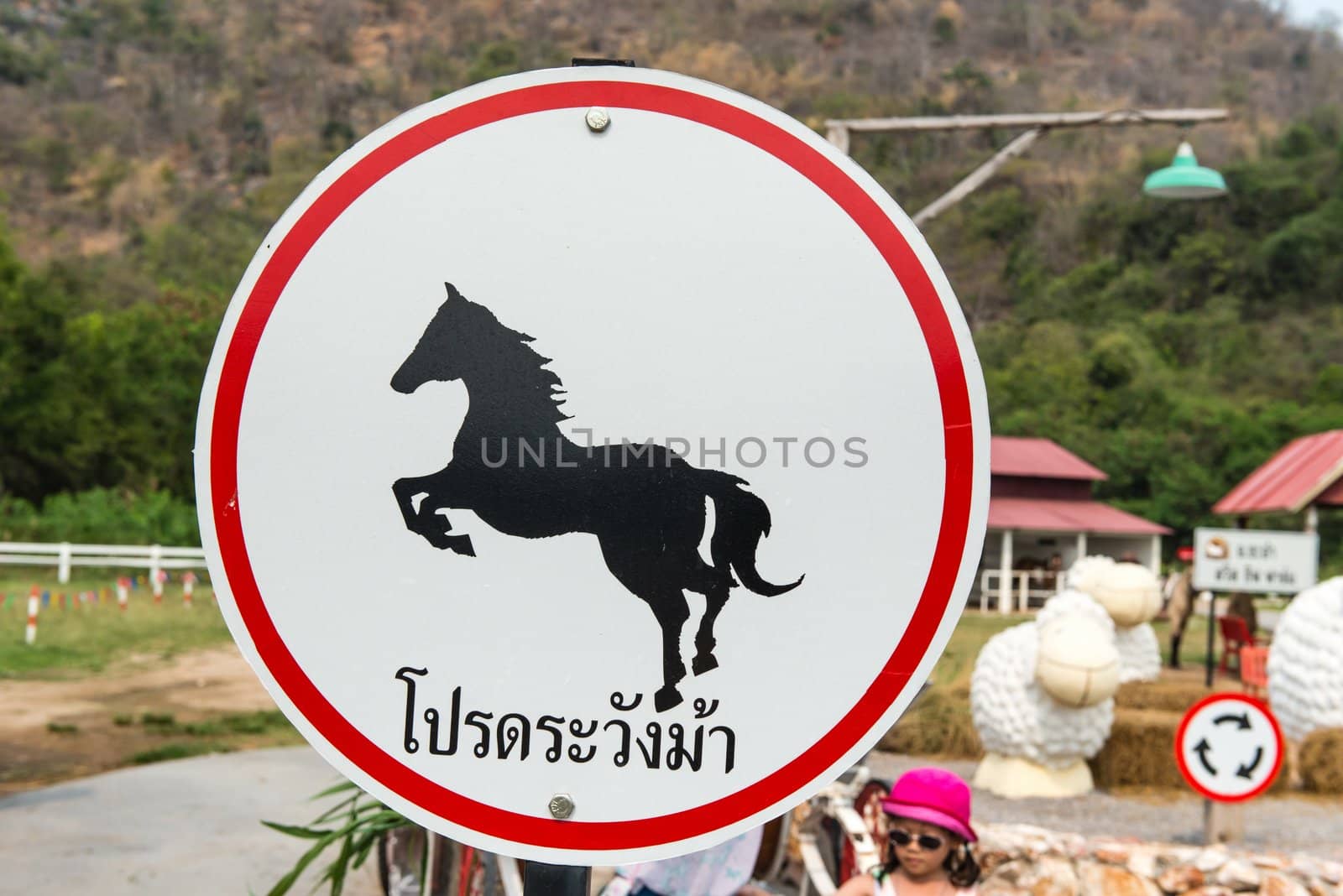 Be careful of horse circular metal sign by sasilsolutions