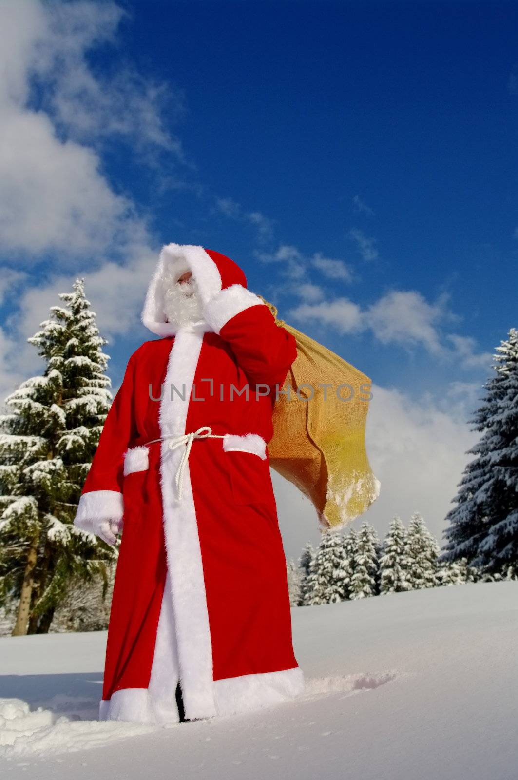 Santa Claus, Father Christmas in a beautiful winter landscape