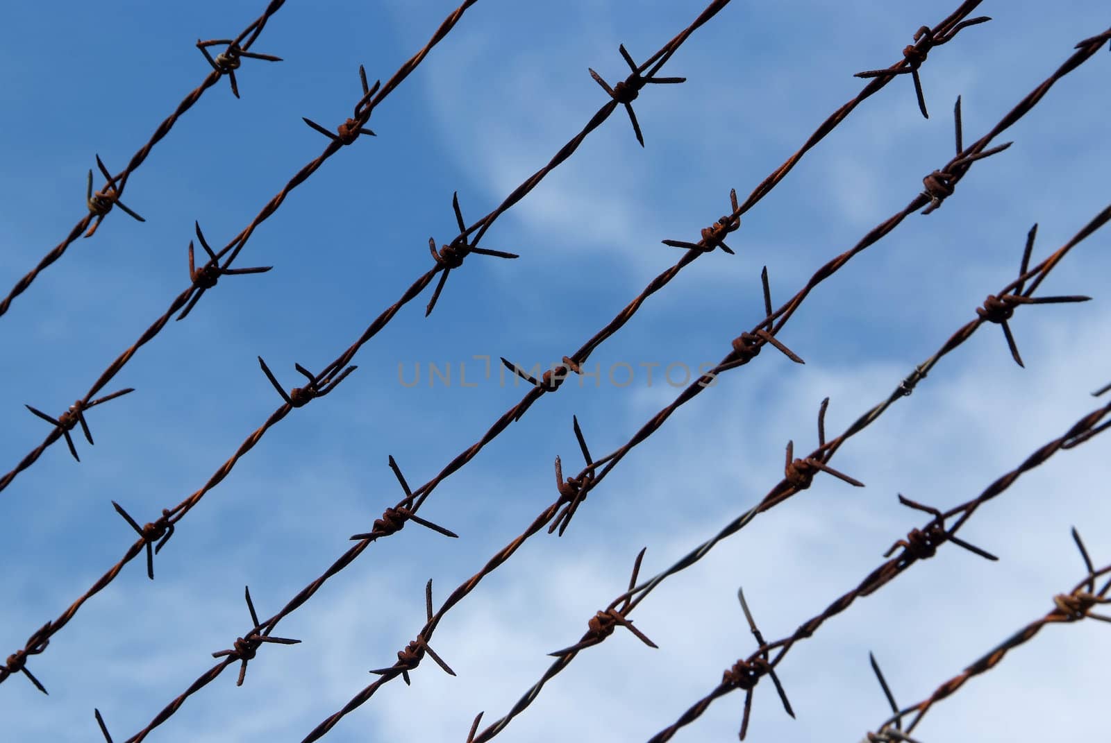 Barb wire fence and blue sky blackground