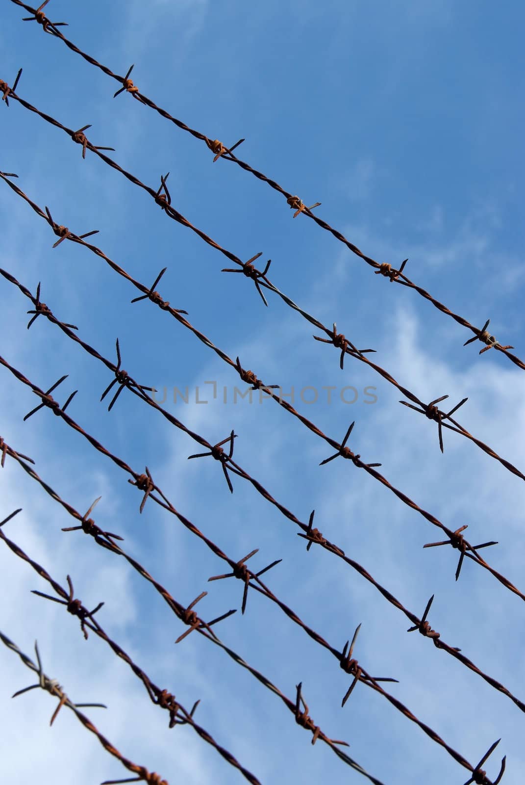 Barb wire fence and blue sky  by opasstudio