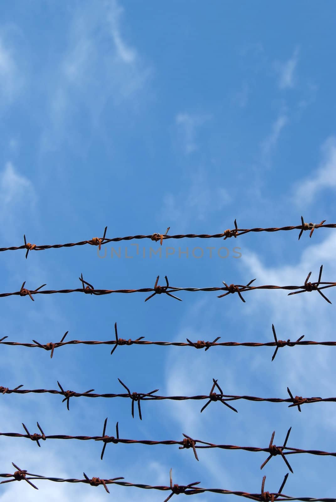 Barb wire fence and blue sky  by opasstudio