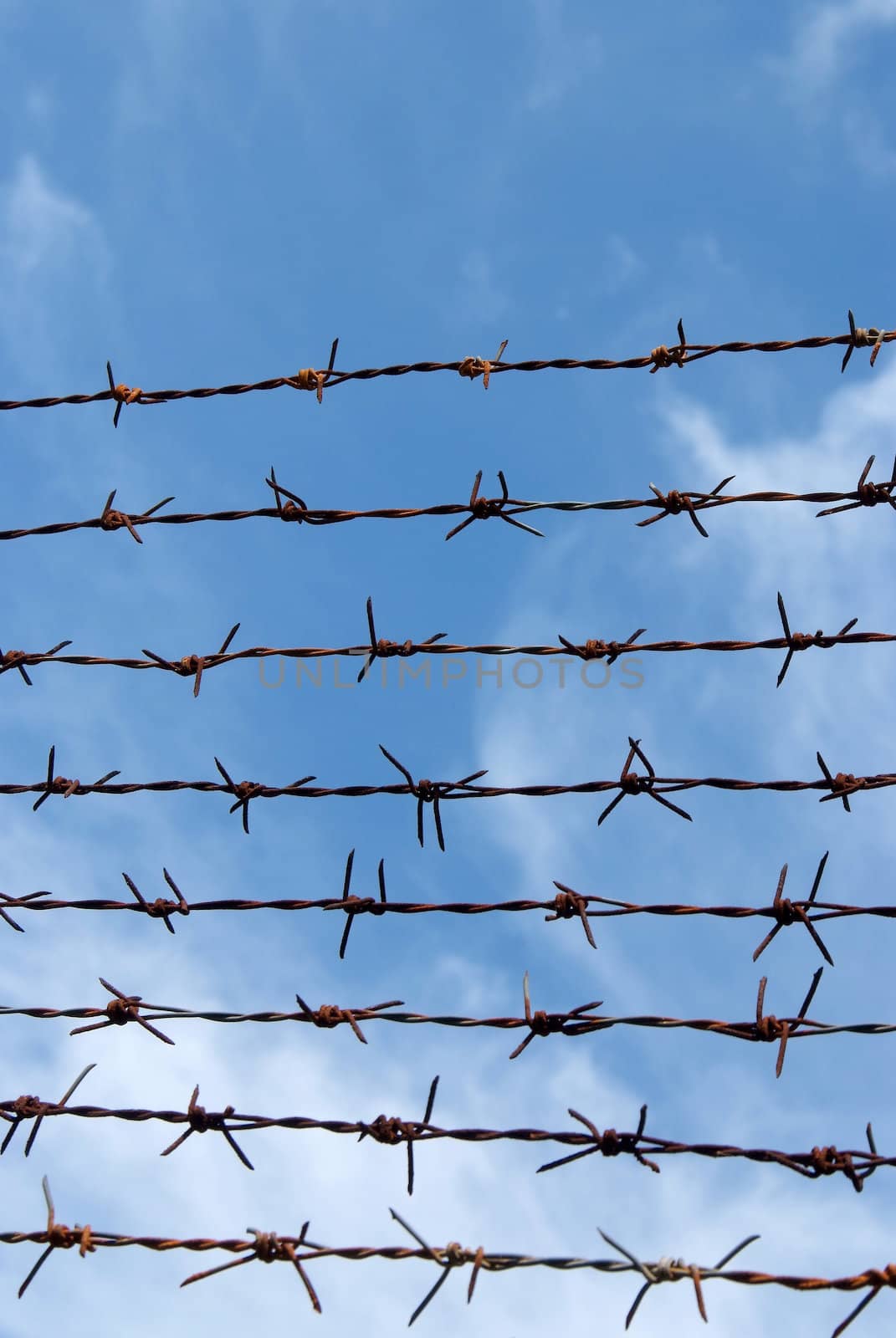 Barb wire fence and blue sky  by opasstudio