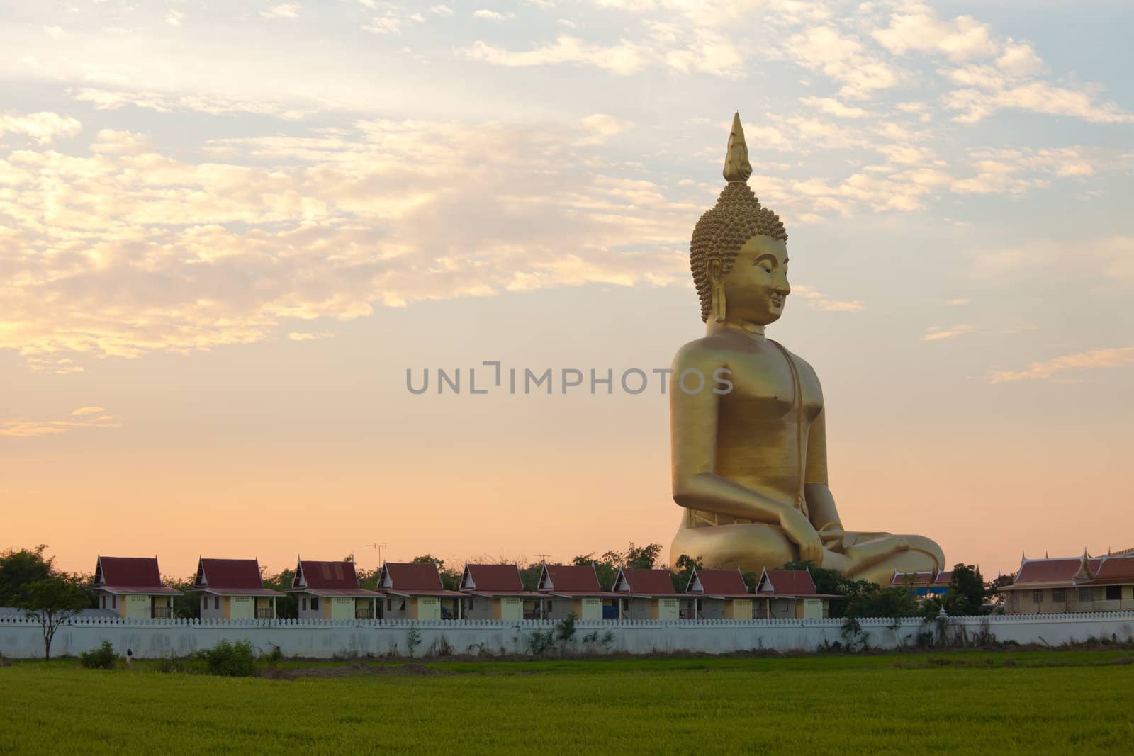 Golden Big buddha statue and green field at sunrise in thailand