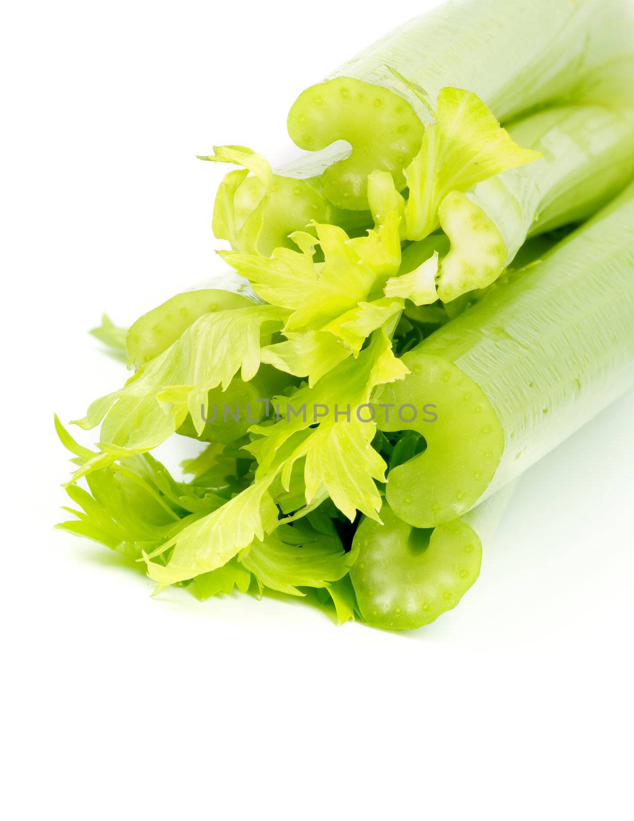 Stalks of Raw Celery with Leafs closeup on white background
