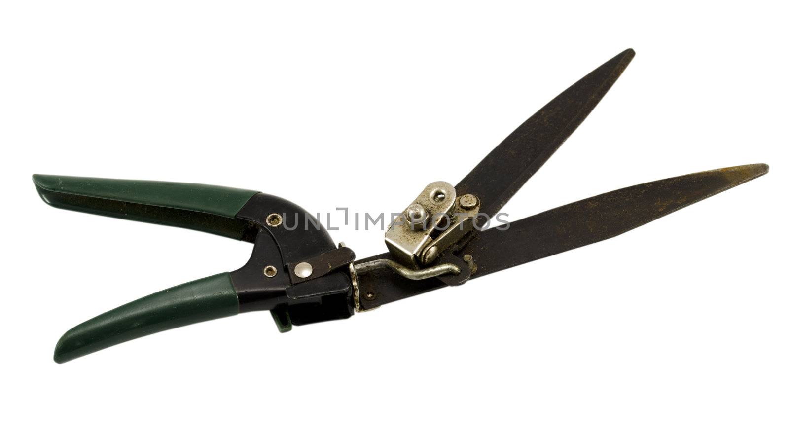garden hedge trimmers clippers tool with plastic handle isolated on white background