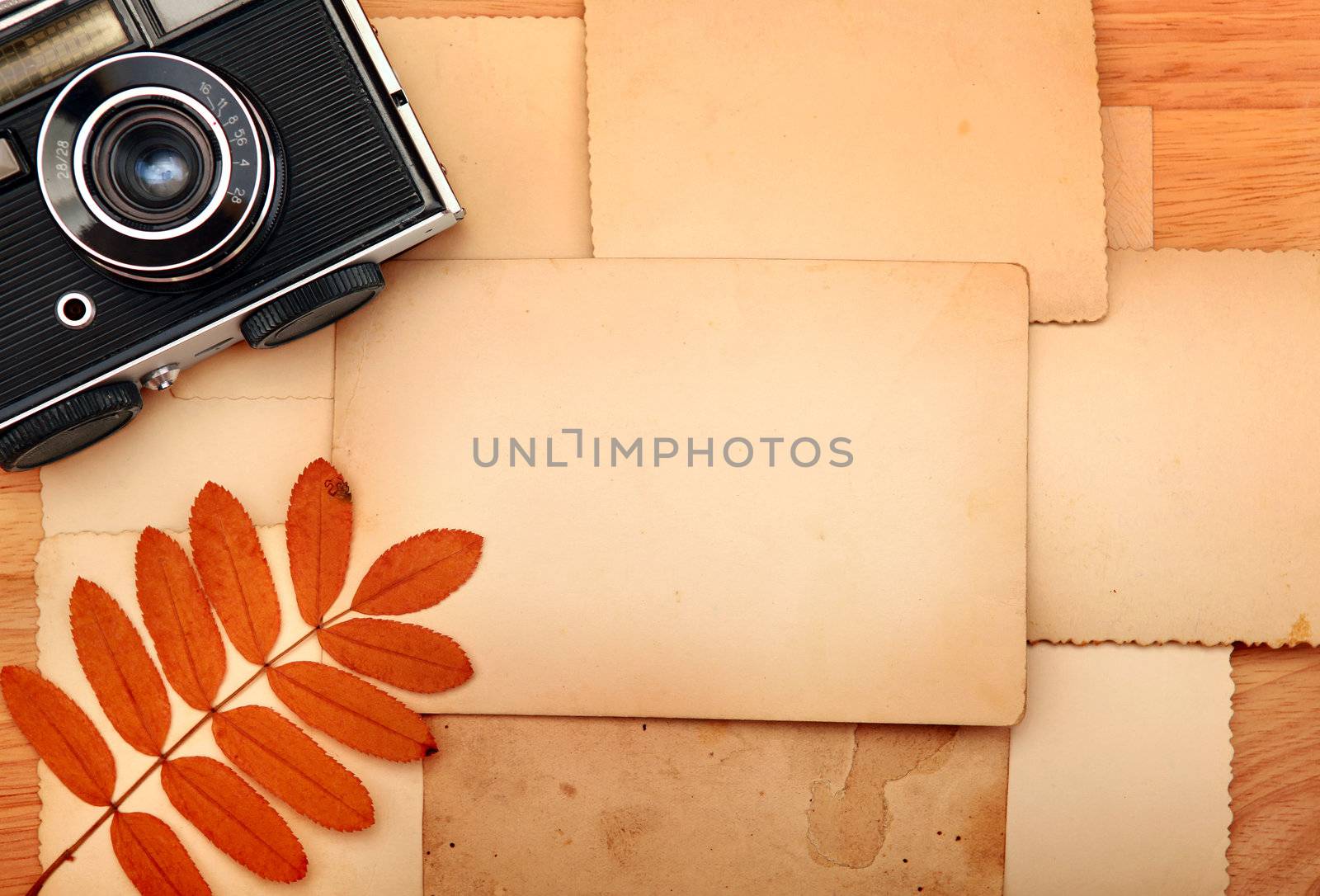 Vintage Still Life by sabphoto