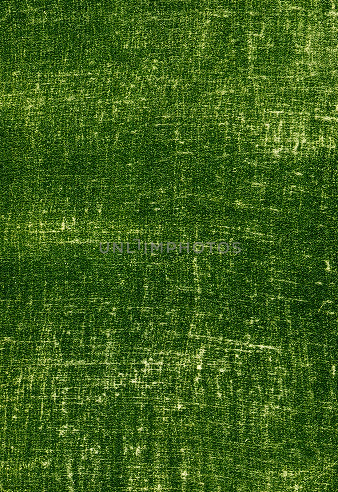 Green Abstract Texture by sabphoto