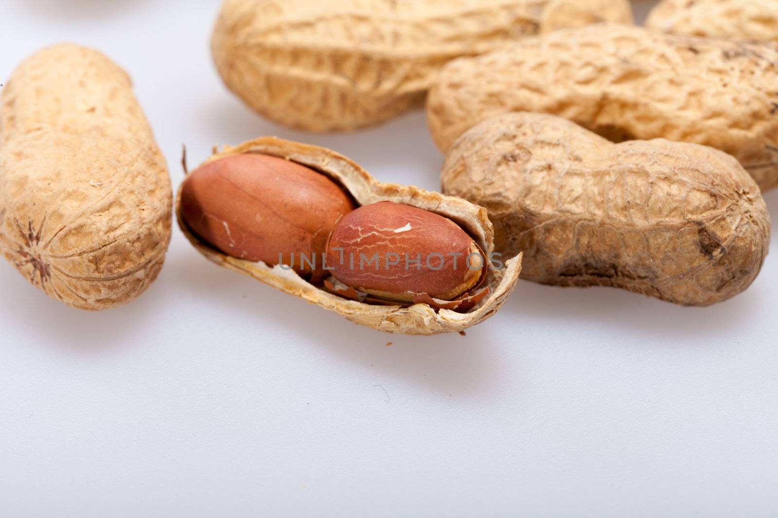 
Dried peanuts in closeup on the white background