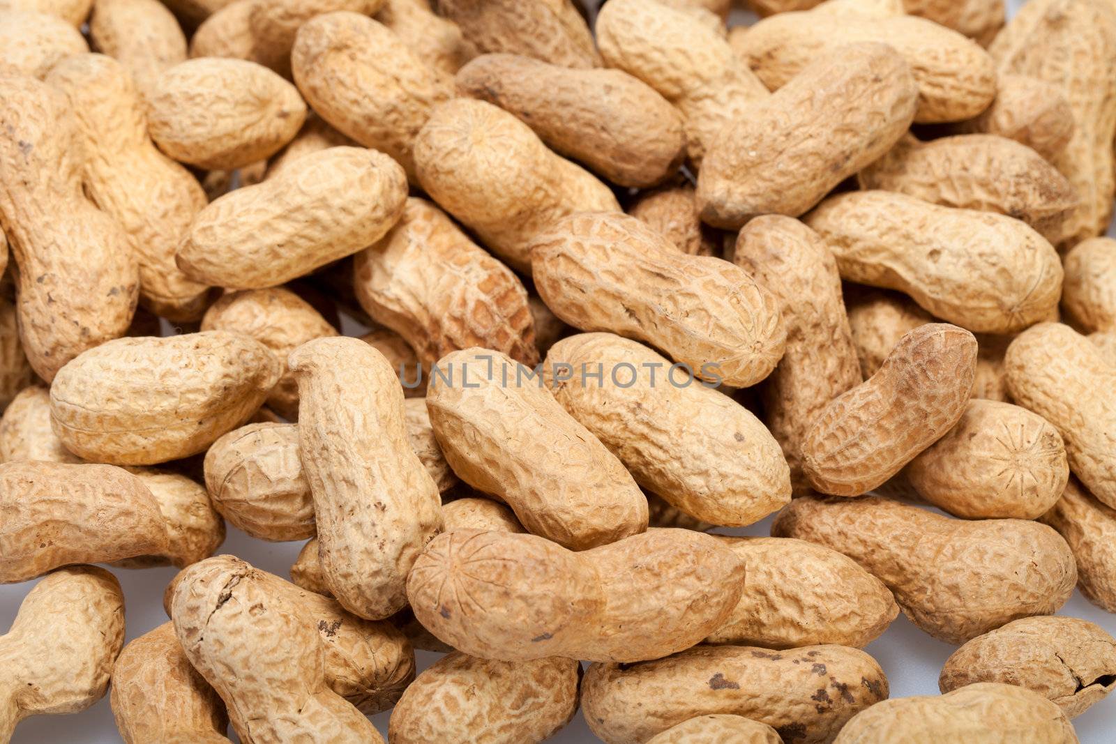 
Dried peanuts in closeup on the white background