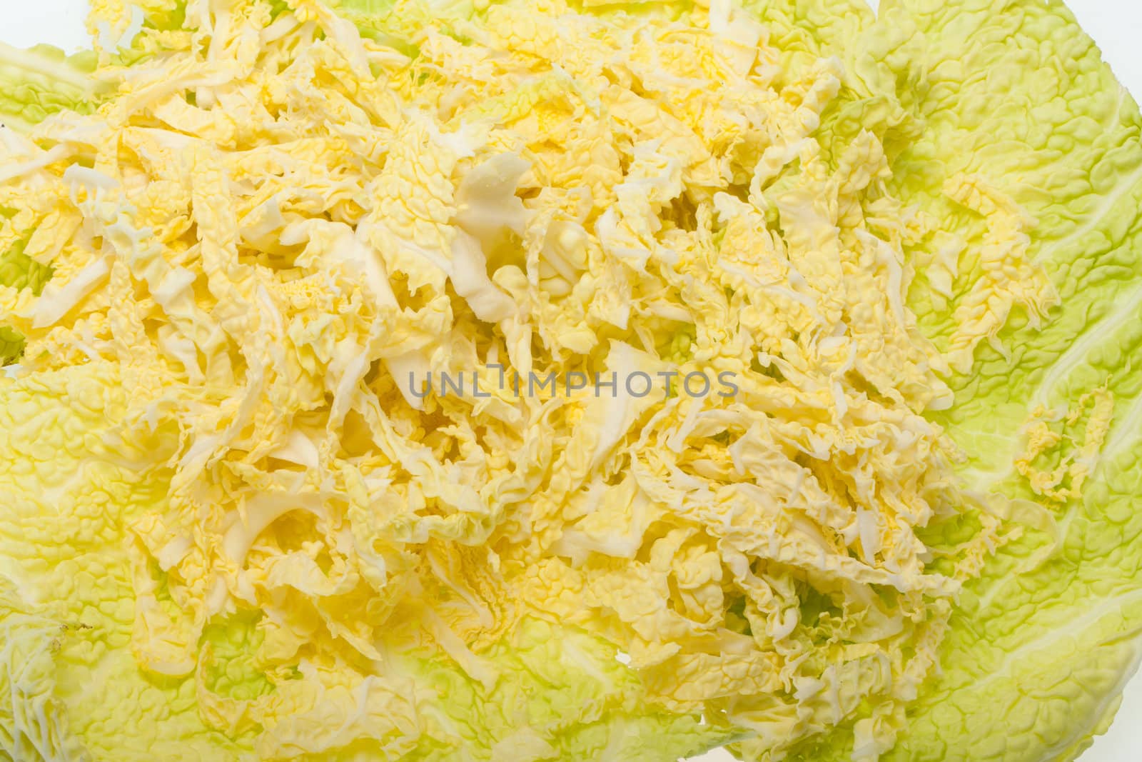 fresh savoy cabbage  isolated on white background