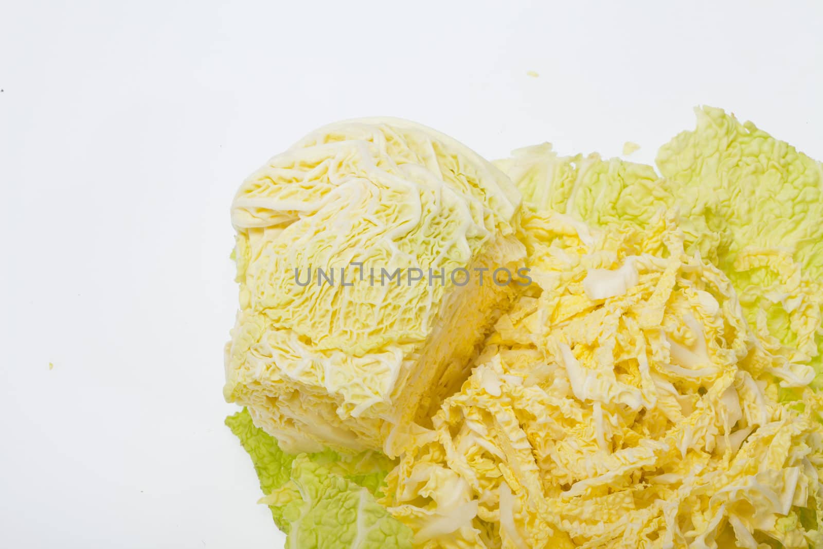 fresh savoy cabbage  isolated on white background