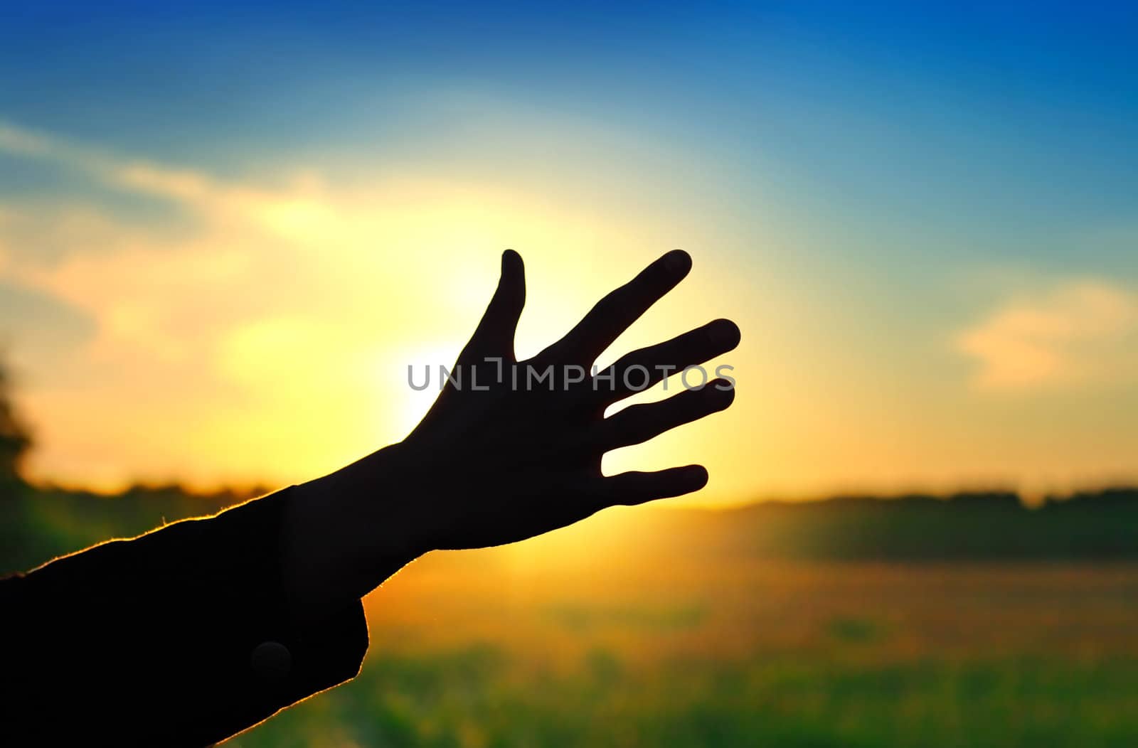 Hand On Sunset Background by sabphoto