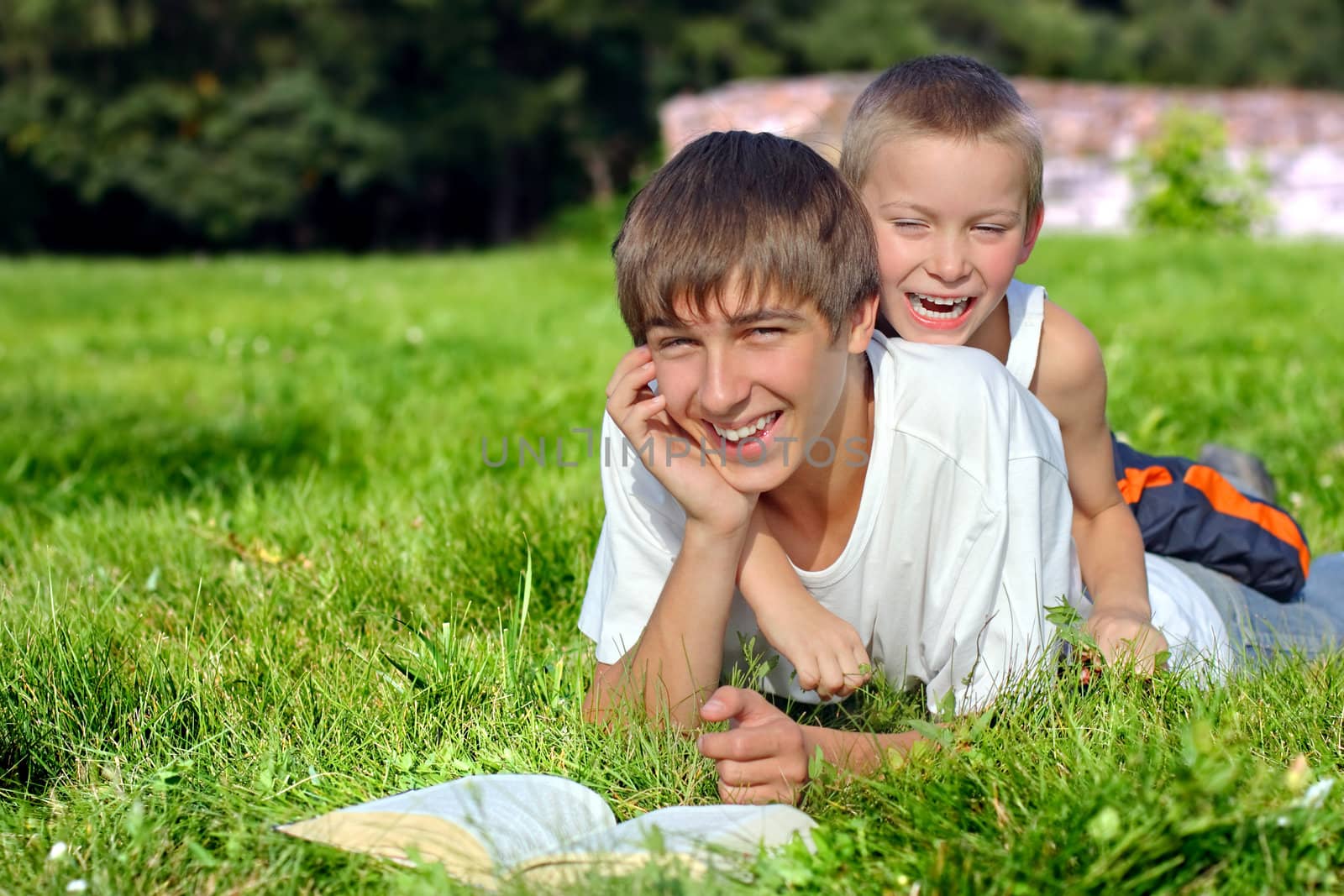 Happy Brothers lying on the Grass with a Book in the Summer Park