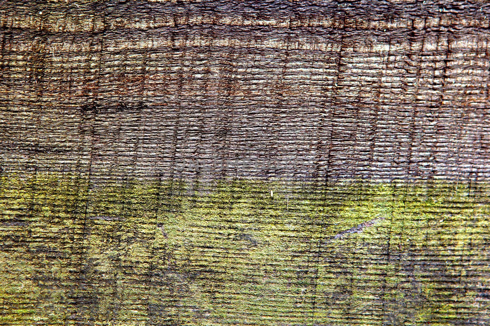 Old wooden texture close up