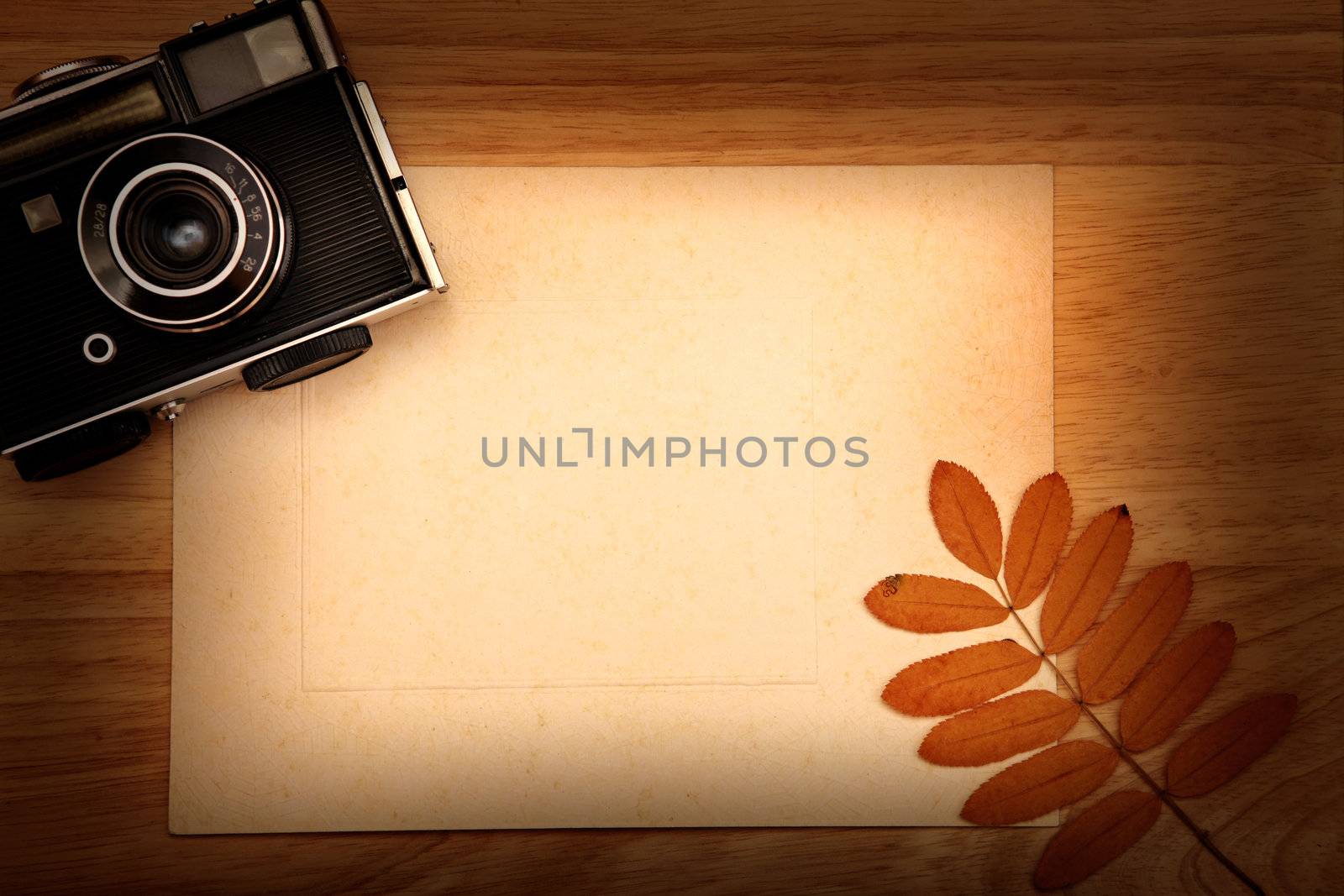 Vintage Still Life by sabphoto