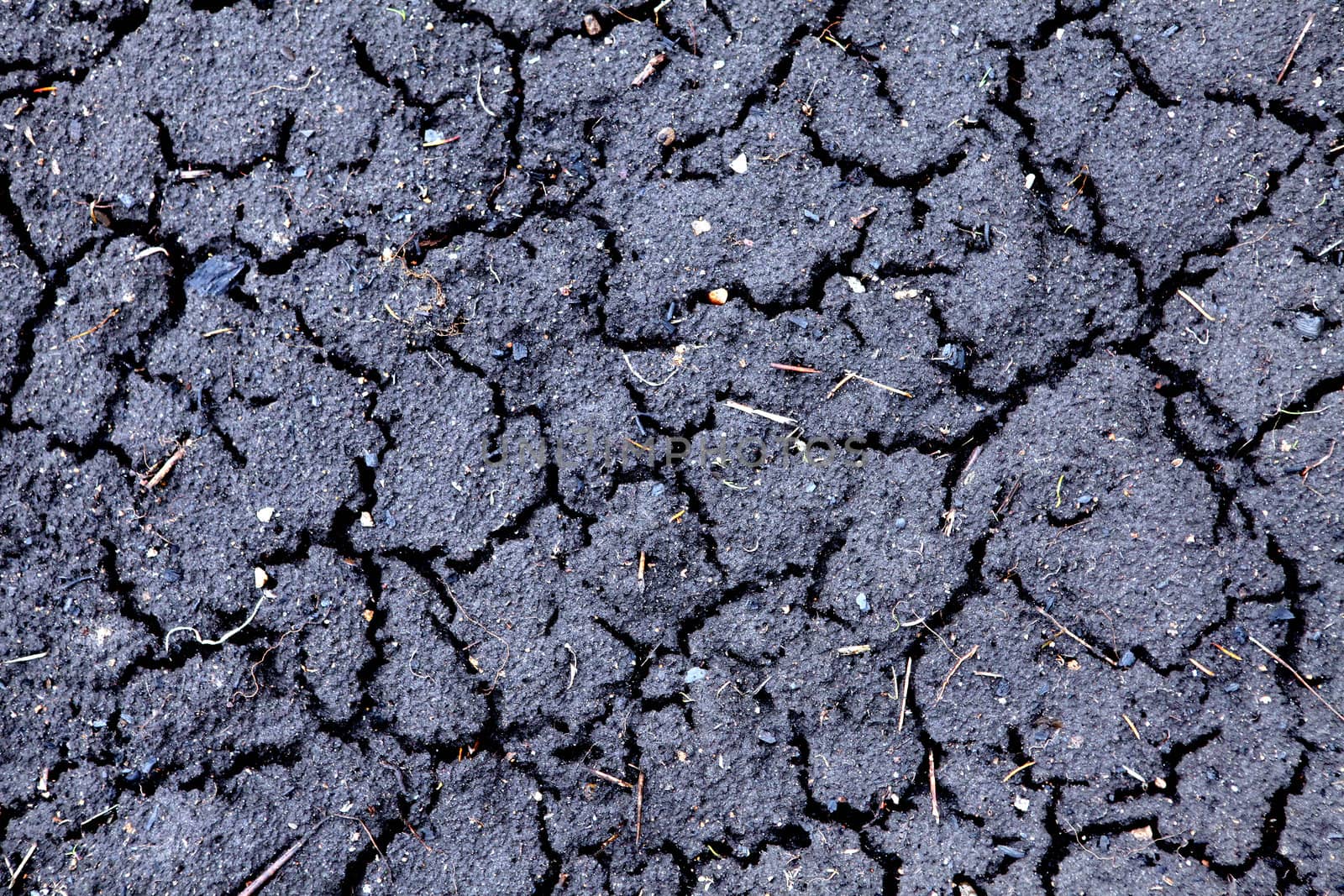 Texture of the Cracked Ground Closeup