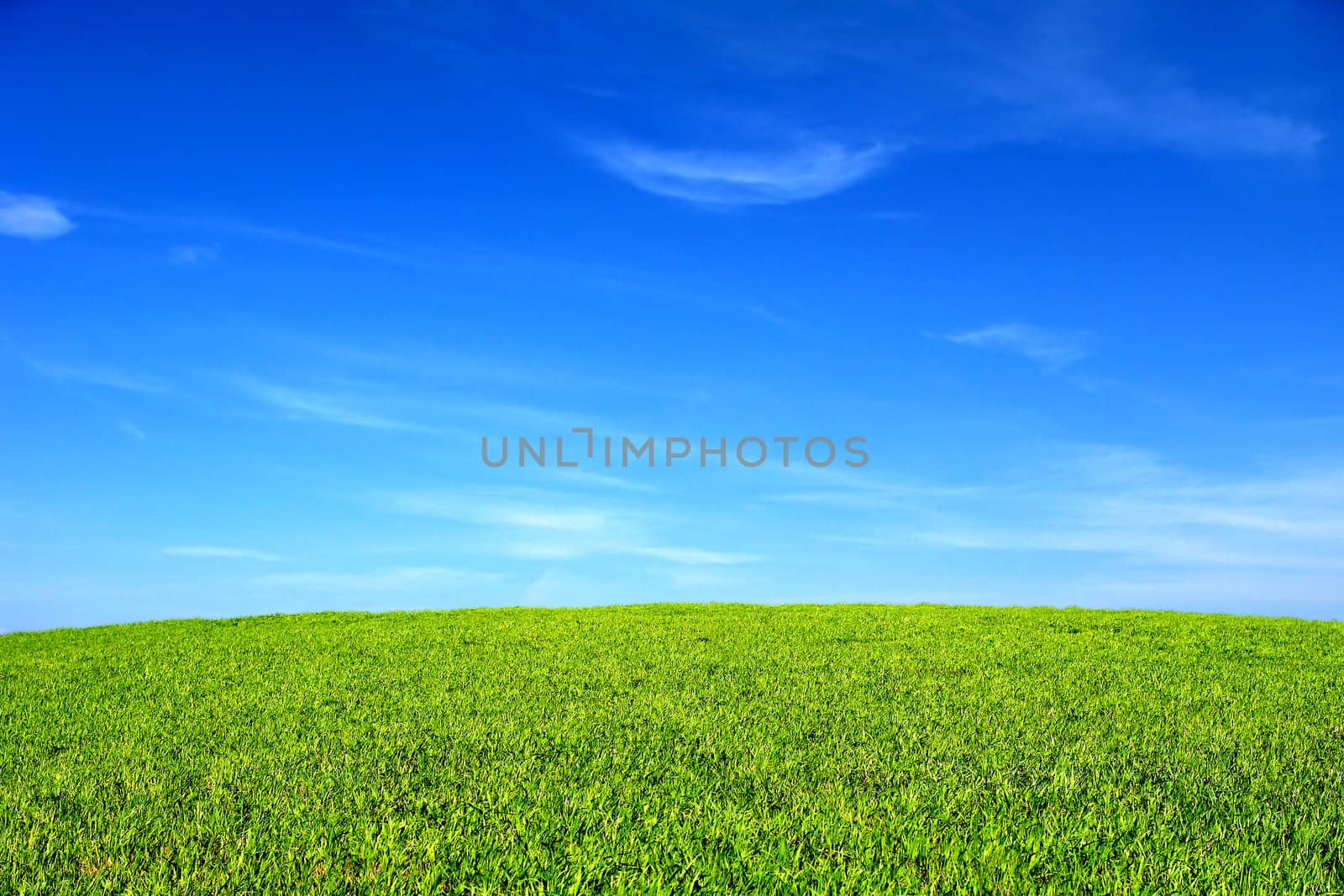 Beautiful summer landscape with green field and blue sky