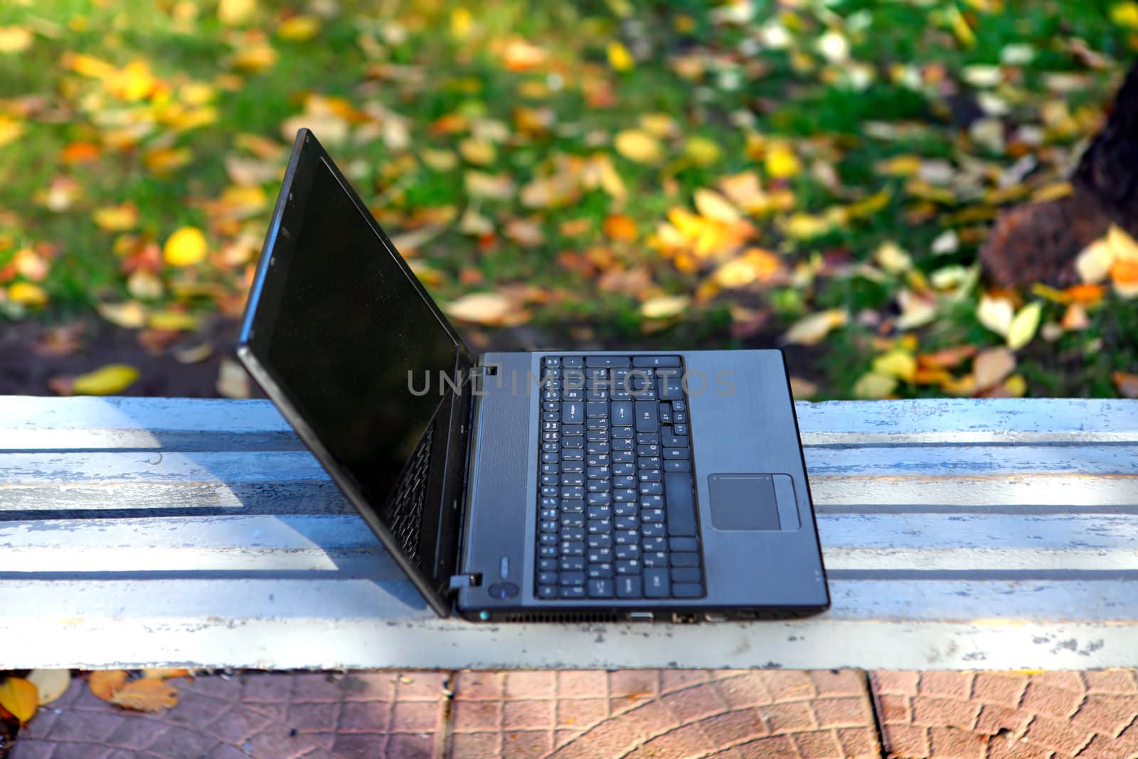 Laptop On The Bench in the Autumn Park