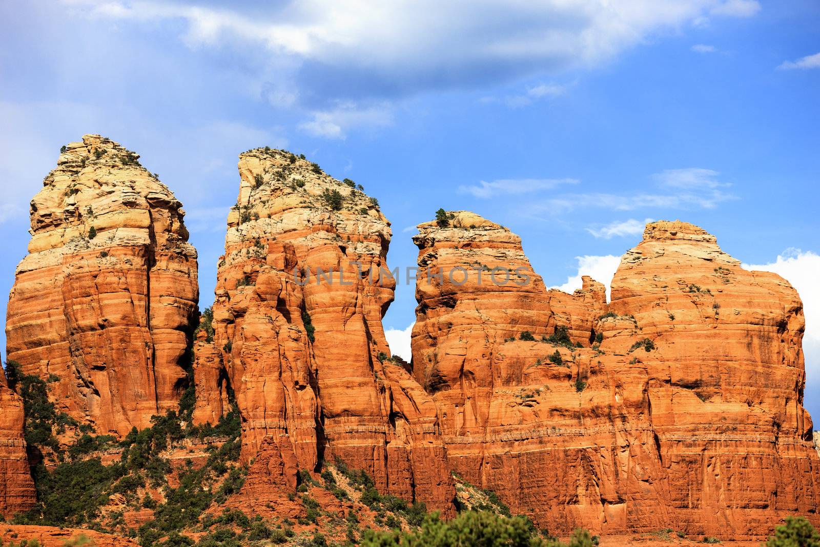 wilderness landscape near Sedona, USA