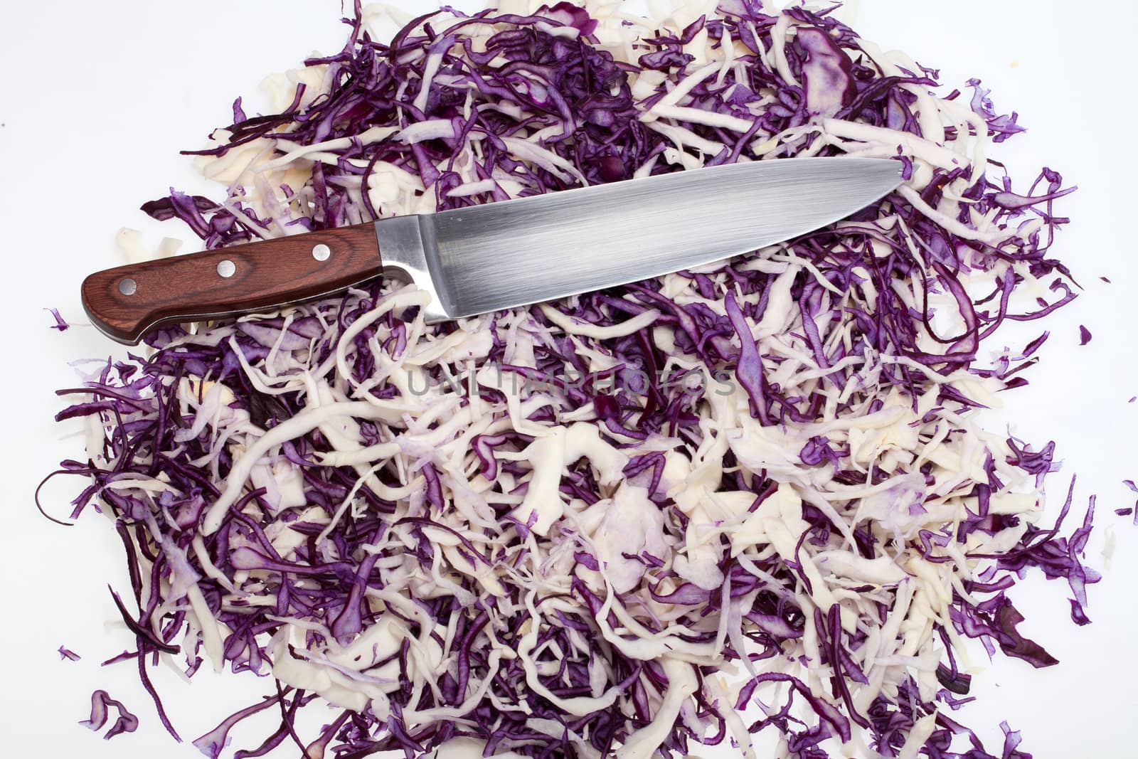 White and Red  Cabbage